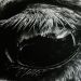 Vita nell'Anima - L'occhio di un cavallo, la vita nell'anima!
Questo lavoro raffigura l'occhio di un cavallo ed è stato realizzato con la tecnica del carboncino su carta bianca.
Questa opera rappresenta il primo esperimento di iperrealismo dell'artista.